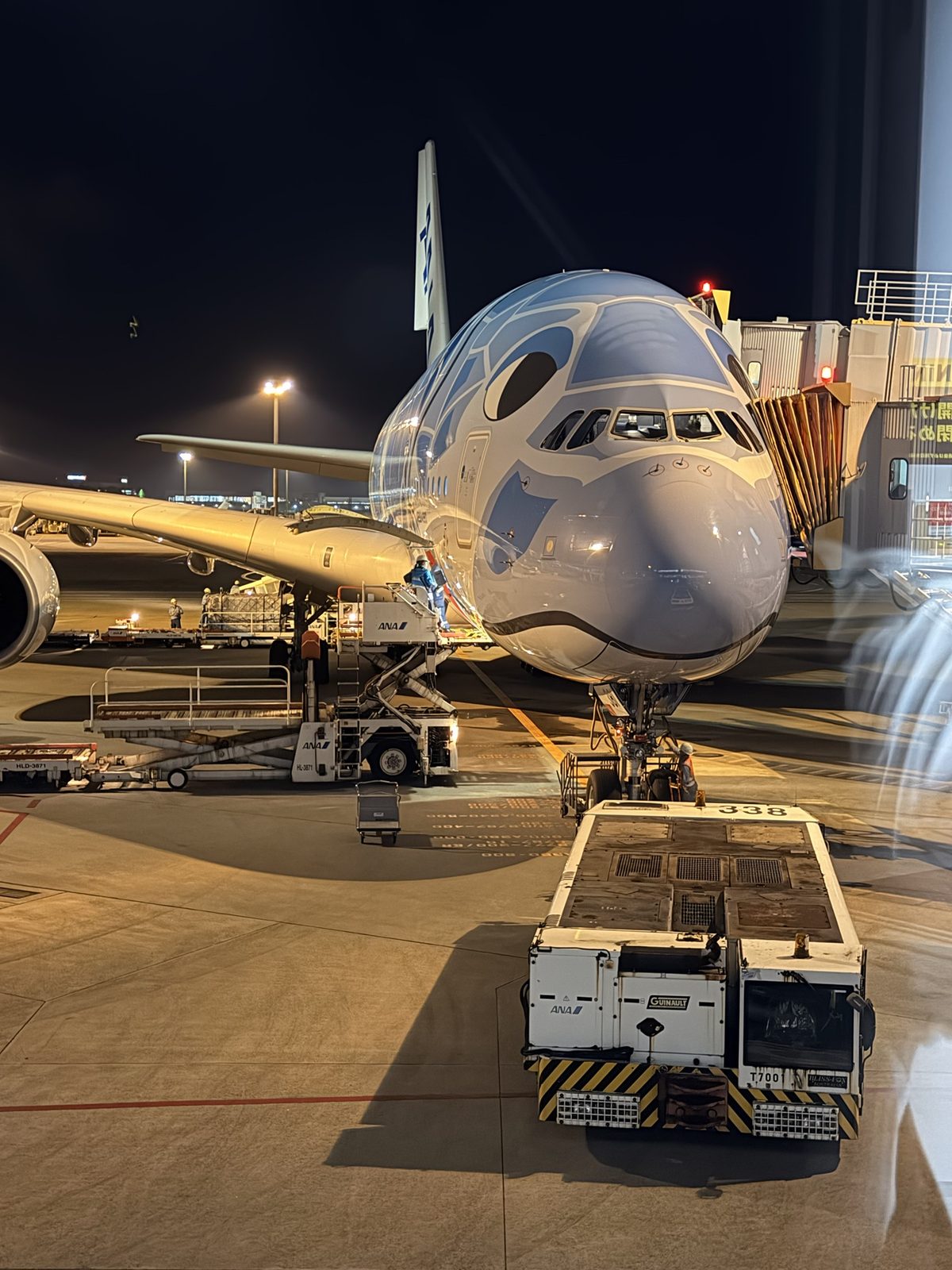 成田空港に止まるウミガメ柄のA380「フライングホヌ」