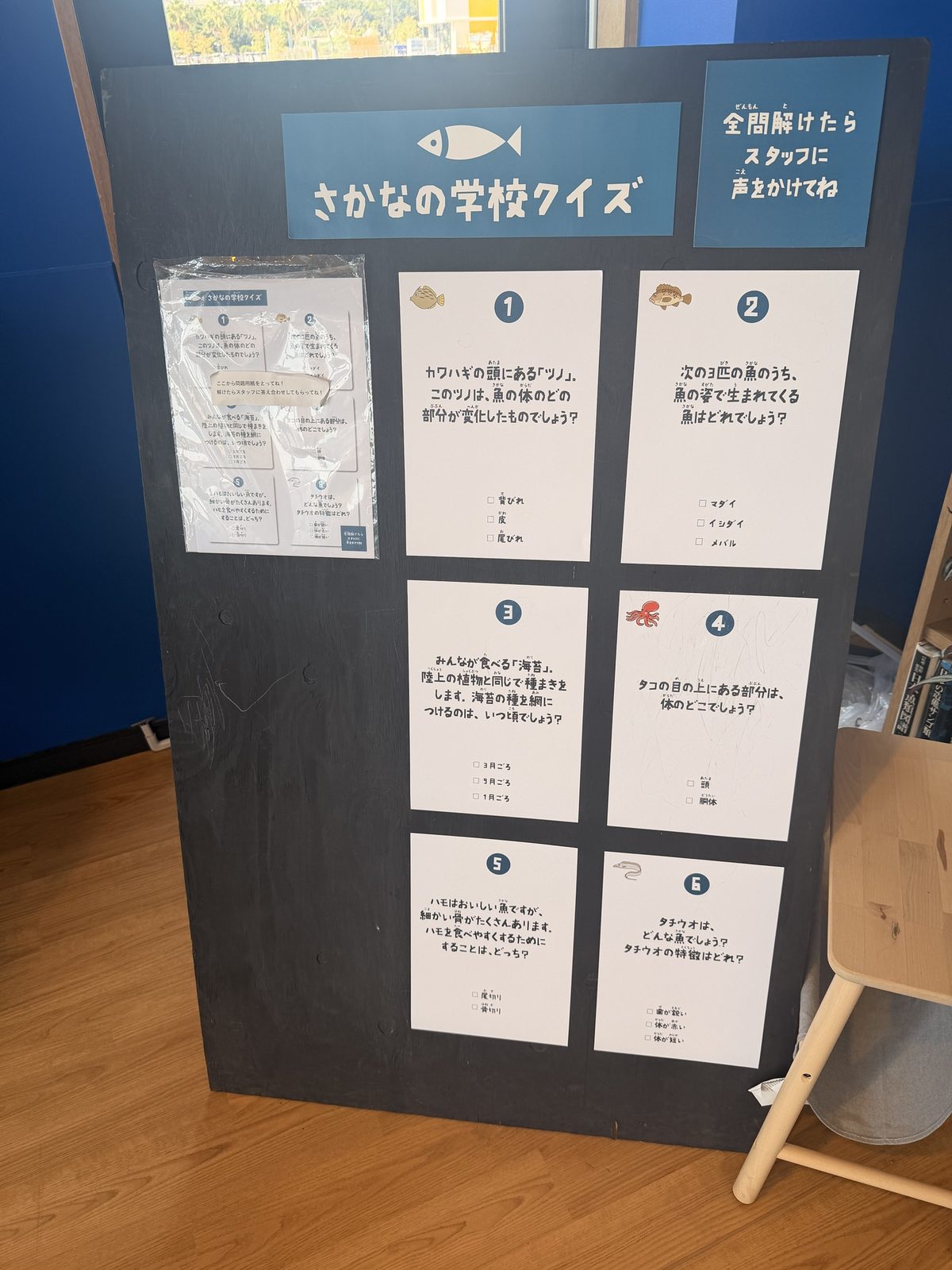 さかなの学校クイズ
