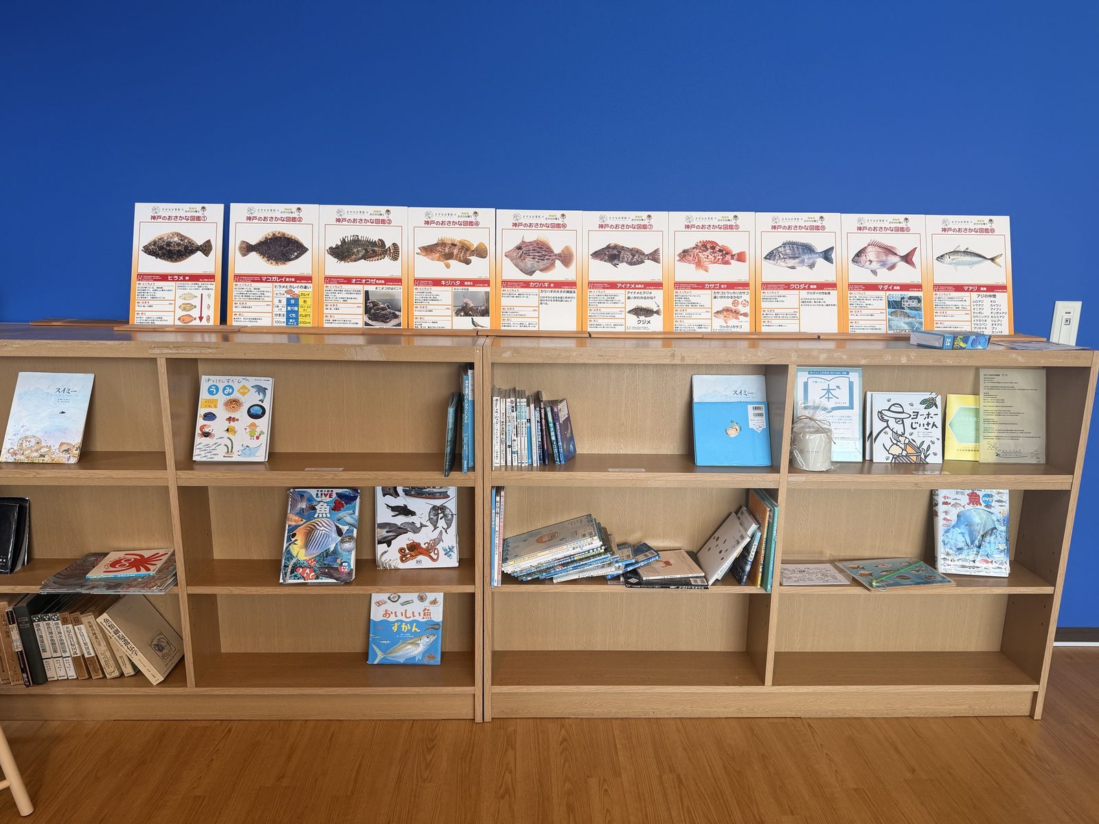 神戸のおさかな図鑑と絵本の棚