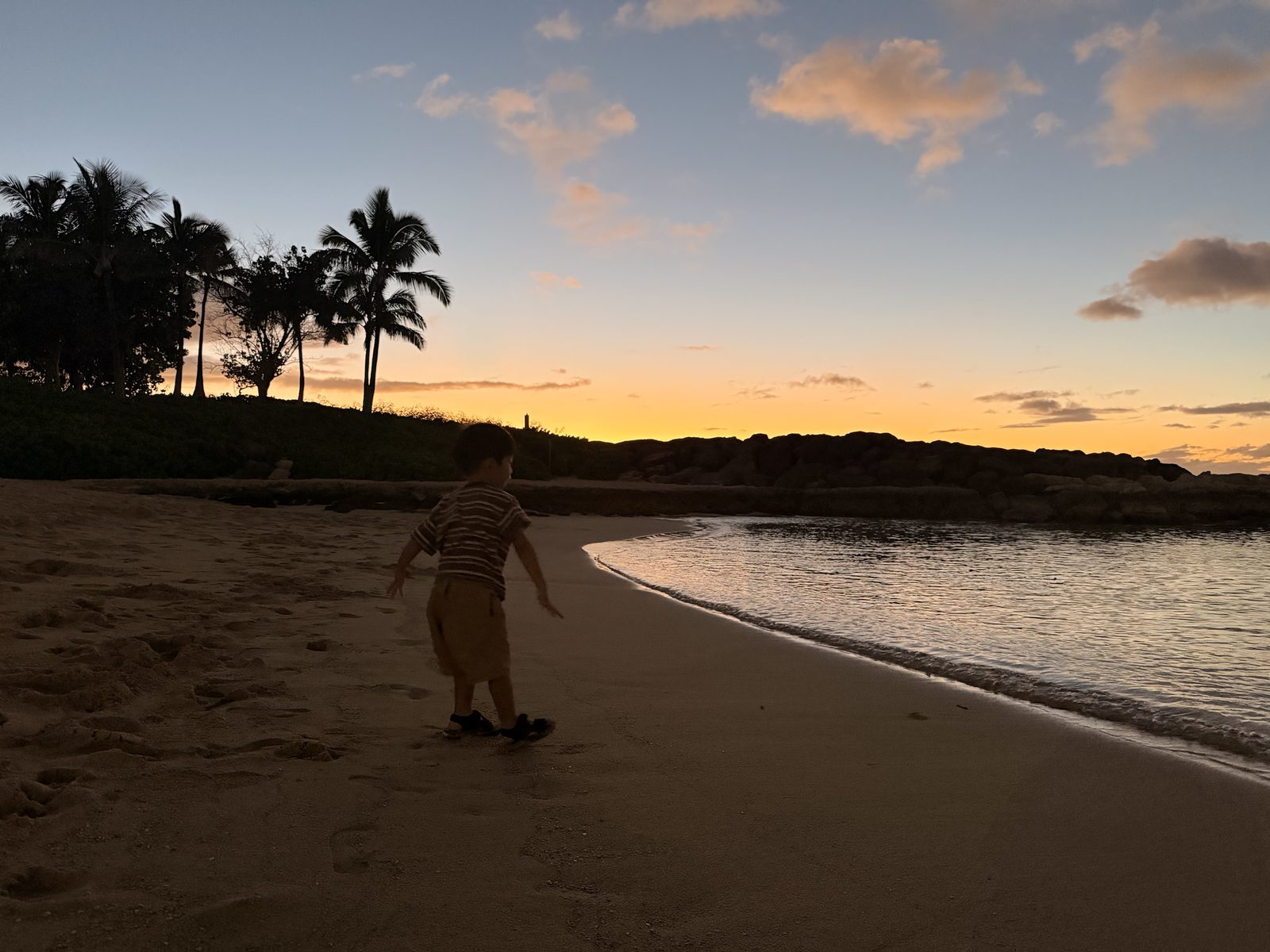 夕暮れのビーチで遊ぶ息子のシルエット
