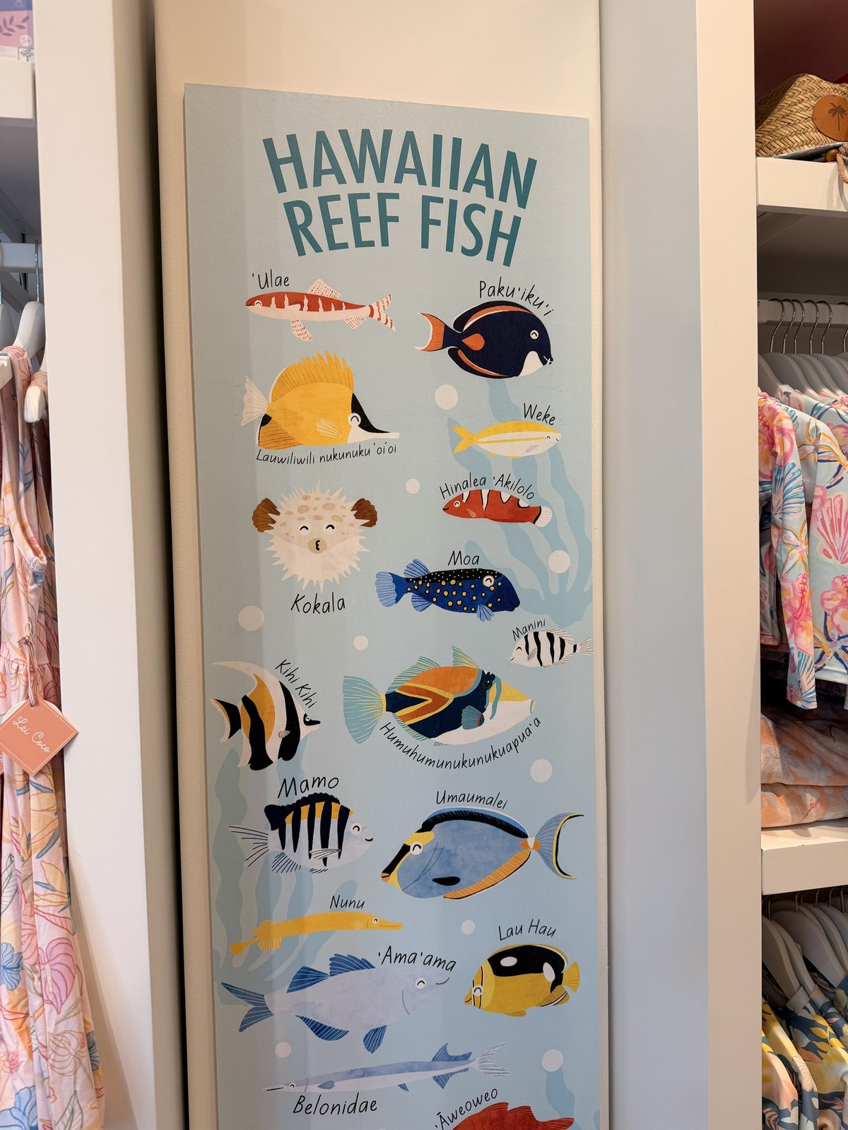 ハワイ語の名前つきで魚が描かれた「HAWAIIAN REEF FISH」の絵