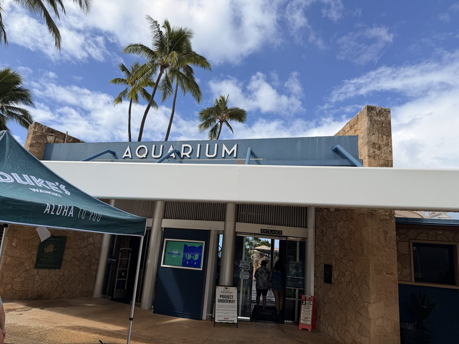 ヤシの木の下にあるワイキキ水族館の入口
