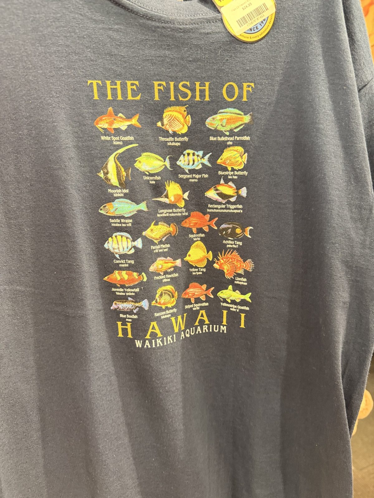ハワイの魚が描かれたTシャツ